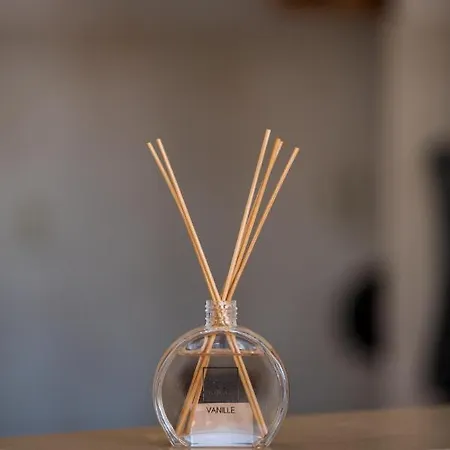 Lapad 杜布罗夫尼克