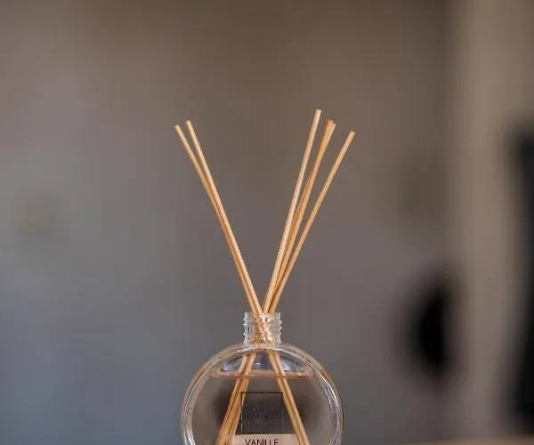 Lapad 杜布罗夫尼克